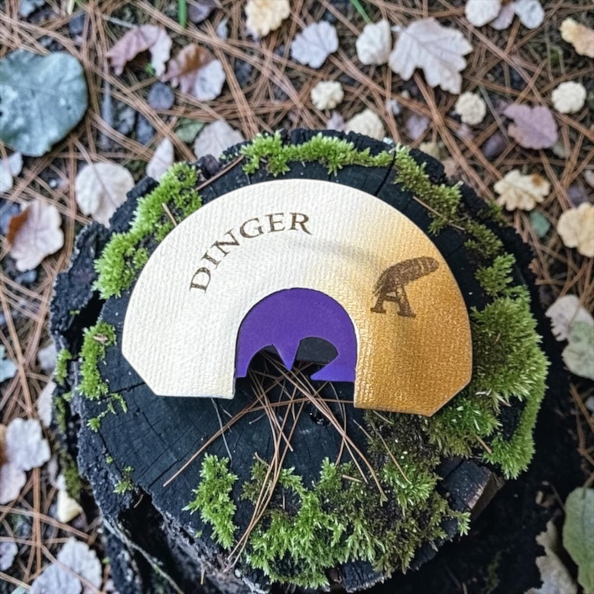 Dinger